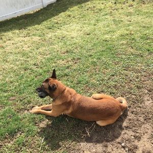 Meet your Posher, Matt